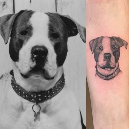 hond tattoo