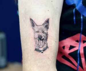 Hond tattoo